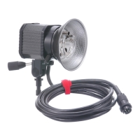 (サンスターストロボ)sunstar strobo 発光部 SMALL OCTA-30G #02026