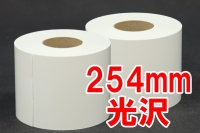 （マキシム）MAXIMドライミニラボ用ロールペーパー254x100M/2ロール入り 光沢