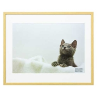(ナカバヤシ) 木製写真額 A4判(ナチュラル)※ガラス使用