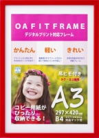 ダイセン T010-30804 キノA3 RD