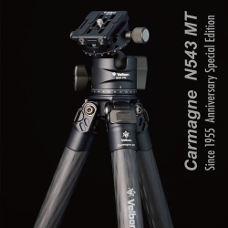 �i�x���{���jVelbon ���^�J�[�{���O�r 4�i �J���}�[�j�� N543 MT�iA70�j