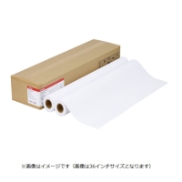 (キヤノン) Canon ラージフォーマットプリンタ用プレミアム普通紙 A2サイズ 2本入 LFM-PPP/A2/80