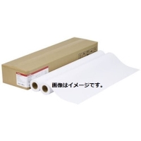 (キヤノン) Canon プレミアム普通紙 LFM-PPP/B1/80 B1サイズ