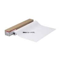 (キヤノン) Canon LFM-GPH/A0/170 A0サイズ フォト光沢紙 薄口