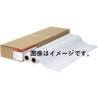 (キヤノン) Canon スタンダード普通紙 2LFM-PPS2/36/64 36インチサイズ