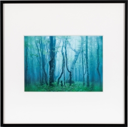 �i�P���R�[�jKenko  �M�������[ 2L�X�N�G�A �u���b�N / �z���C�g AGY-2LSQ-BW