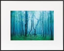 �i�P���R�[�jKenko  �M�������[ ���C�h�l�� �u���b�N / �z���C�g AGY-W4-BW