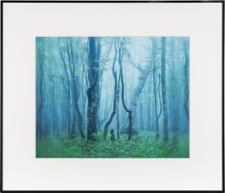 �i�P���R�[�jKenko  �M�������[ ���� �u���b�N / �z���C�g AGY-H-BW