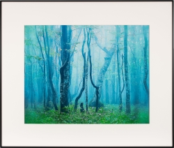 �i�P���R�[�jKenko  �M�������[ �S�� �u���b�N / �z���C�g AGY-Z-BW