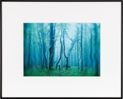 �i�P���R�[�jKenko  �M�������[ A4 �u���b�N / �z���C�g AGY-A4-BW