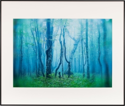 �i�P���R�[�jKenko  �M�������[ A2 �u���b�N / �z���C�g AGY-A2-BW