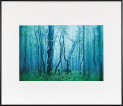 �i�P���R�[�jKenko �A���~�z�� �M�������[�uA3�m�[�g���~���O�v�u���b�N / �z���C�g AGY-A3NT-BW