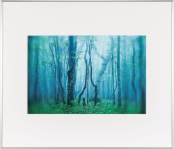 �i�P���R�[�jKenko �A���~�z�� �M�������[�uA3�m�[�g���~���O�v�V���o�[ AGY-A3NT-SV