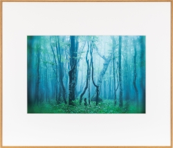 �i�P���R�[�jKenko �A���~�z�� �M�������[�uA3�m�[�g���~���O�v�i�`������ AGY-A3NT-NA