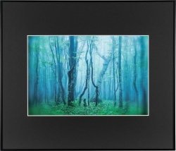 �i�P���R�[�jKenko �A���~�z�� �M�������[�uA3�m�[�g���~���O�v�u���b�N AGY-A3NT-BK