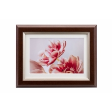  (PR[gLi[)KenkoTokina OCXEMiui~Ej 2L/KGTCYp uEJGM-2L-BR