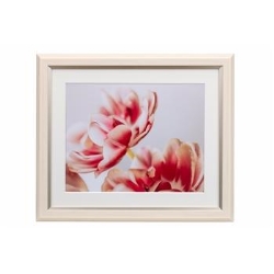  (PR[gLi[)KenkoTokina OCXEMiui~EjZ AC{[ JGM-6-IV