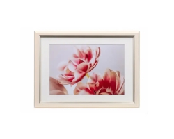  (PR[gLi[)KenkoTokina OCXEMiui~EjA4ChZ AC{[ JGM-A4-IV