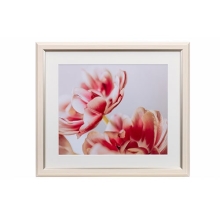 (PR[gLi[)KenkoTokina OCXEMiui~Ej l AC{[ JGM-4-IV