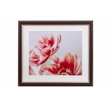  (PR[gLi[)KenkoTokina OCXEMiui~Ej l  uE JGM-4-BR