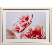  (PR[gLi[)KenkoTokina OCXEMiui~EjChl/A3pAC{[ JGM-W4-IV