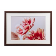 (PR[gLi[)KenkoTokina OCXEMiui~Ej A3/B3p uE JGM-A3-BR