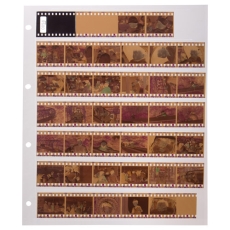 (ハクバ)HAKUBA ネガアルバム 替台紙 35mm用(10シート入)