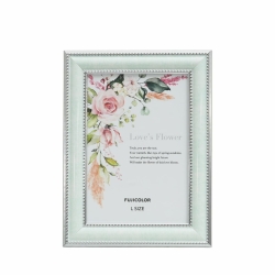 �i�t�W�J���[�jFUJICOLOR �}�[�u���J���[�t���[�� 2701L �~���g�O���[��