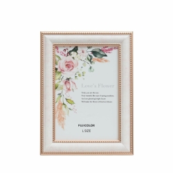 �i�t�W�J���[�jFUJICOLOR �}�[�u���J���[�t���[�� 2702L �s���N