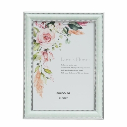 �i�t�W�J���[�jFUJICOLOR �}�[�u���J���[�t���[��  2801K �~���g�O���[��  2L