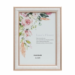 �i�t�W�J���[�jFUJICOLOR �}�[�u���J���[�t���[��   2802K �s���N  2L