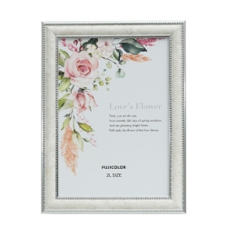 �i�t�W�J���[�jFUJICOLOR �}�[�u���J���[�t���[��    2803K �z���C�g 2L