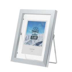 �i�t�W�J���[�jFUJICOLOR �t���[�e�B�t���[�� �V���o�[ L��