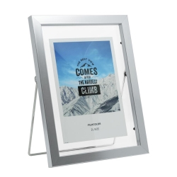 �i�t�W�J���[�jFUJICOLOR �t���[�e�B�t���[�� �V���o�[  2L��