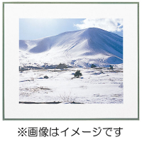 (フジカラー)FUJICOLOR マットパネルWPII ワイド4切