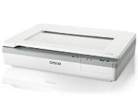 (Gv\)EPSON ϋvtbgA3XLi[600dpiEUSB2.0] DS-50000