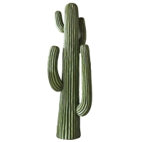 【直送】ダルトン CACTUS A K655-657A