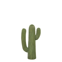 ダルトン CACTUS C K655-657C