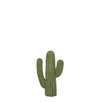 _g CACTUS D K655-657D