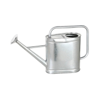 ダルトン GALVANIZED WATERING CAN 5L K855-985-5