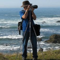 �i�V���C�jSIRUI �t���b�v���b�N4�i�O�r�Z�b�g    L-224F�{KS-10-JP