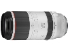 (Lm)Canon  RF100-500mm F4.5-7.1 L IS USM