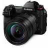(pi\jbN)Panasonic LUMIX DC-S1RM WY[YLbg