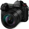 (pi\jbN)Panasonic  LUMIX DC-S1M-K YLbg