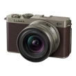 (pi\jbN) Panasonic LUMIX S9LpY[YLbg DC-S9N-D ZLK `^S[h 2025.6.26