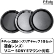 (GttHg) F-FOTO YALbv 3Zbg RCS-SE ySONY-E}Egz
