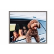 (�P���R�[�g�L�i�[) KenkoTokina �A�~�l�I�E�O�����f �l�� �O���[ AAG-4-GRY