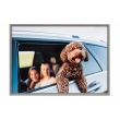 (�P���R�[�g�L�i�[) KenkoTokina �A�~�l�I�E�O�����f ���C�h�l�� �O���[ AAG-W4-GRY