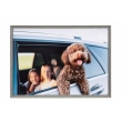 (�P���R�[�g�L�i�[) KenkoTokina �A�~�l�I�E�O�����f A3 �O���[ AAG-A3-GRY