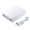サンワサプライ ACA-IP67W USB充電器（6ポート・合計12A・ホワイト）